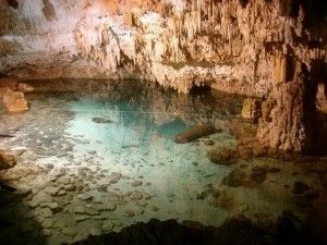 Cenote excursiones riviera maya