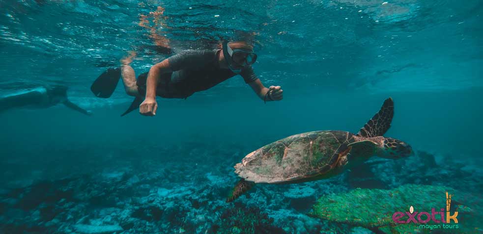 excursion de snorkel