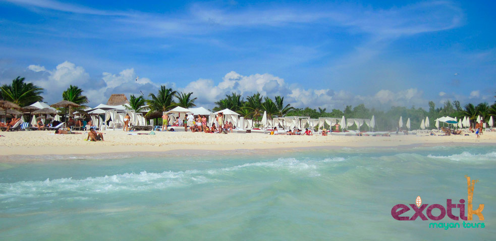 fiesta playa del carmen