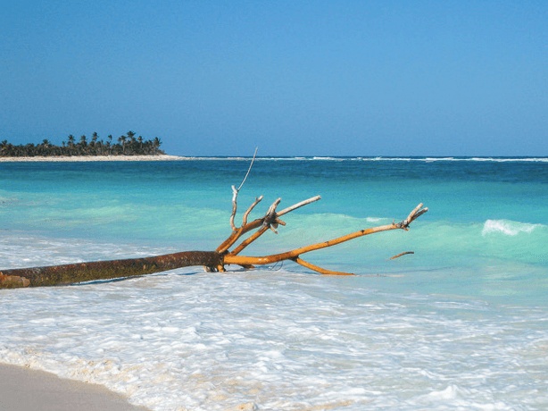 playa-punta-allen