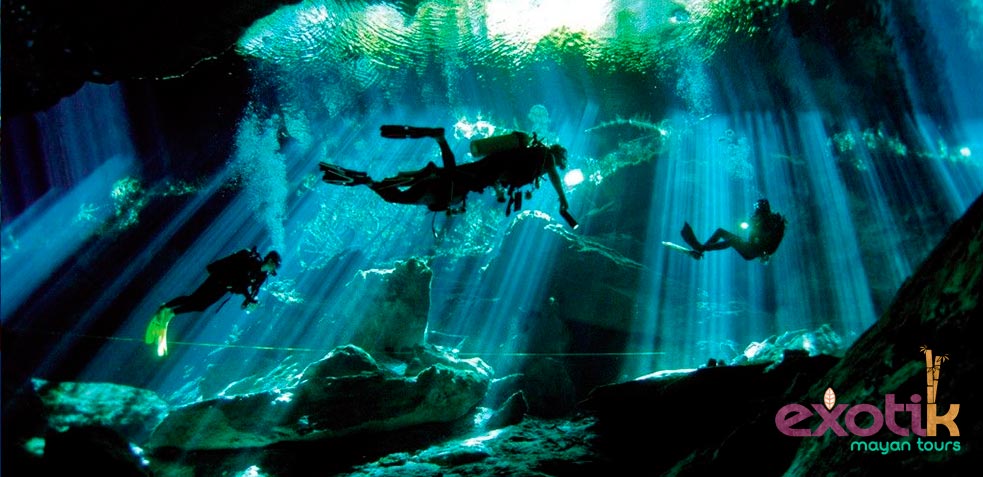 Buceo Riviera Maya