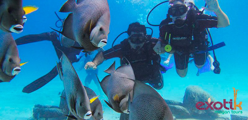 Buceo Riviera Maya
