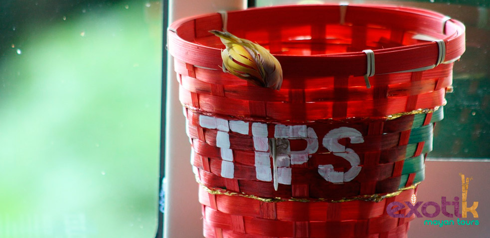 tips