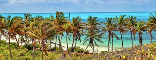 Así es Isla contoy