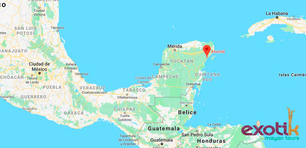 akumal-tortugas