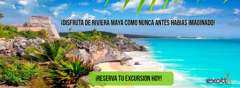 banner excursiones riviera maya