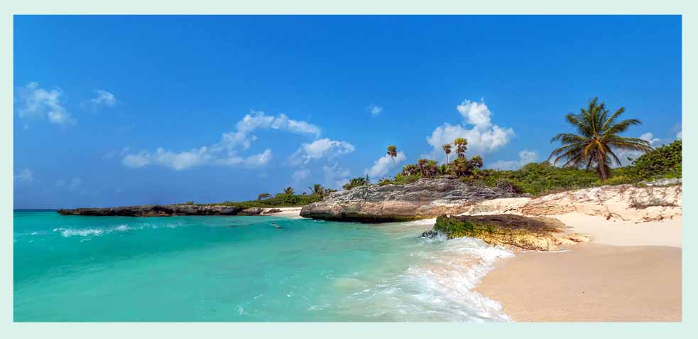 disfruta de la naturaleza playa del carmen
