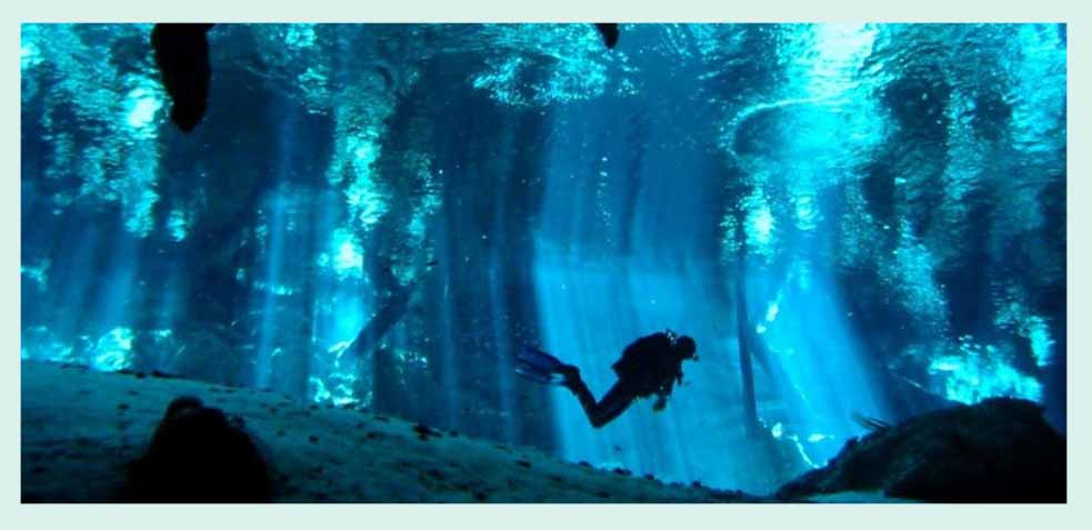 visita a los cenotes de playa del carmen