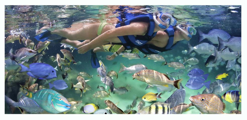 excursión a xel ha