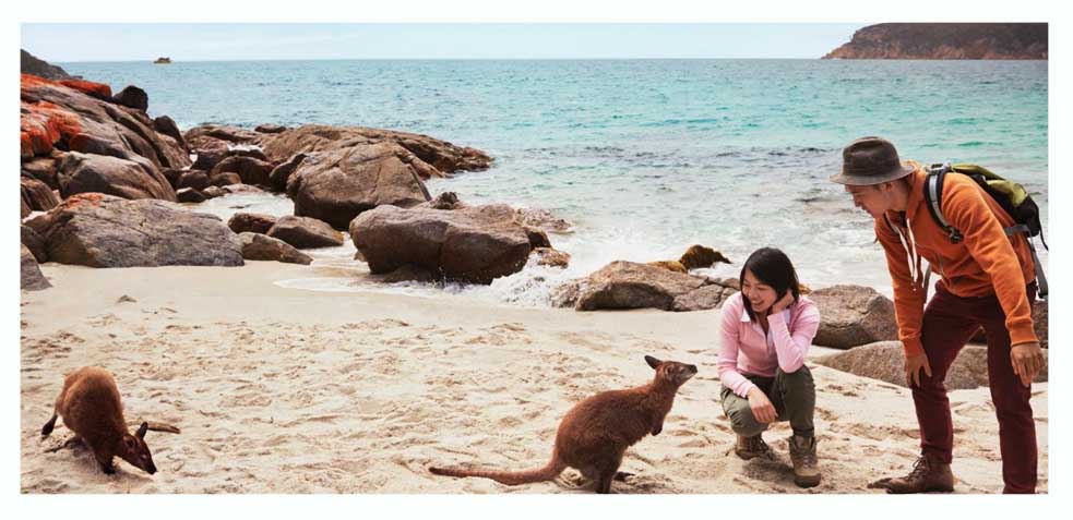 visita de australia en pareja