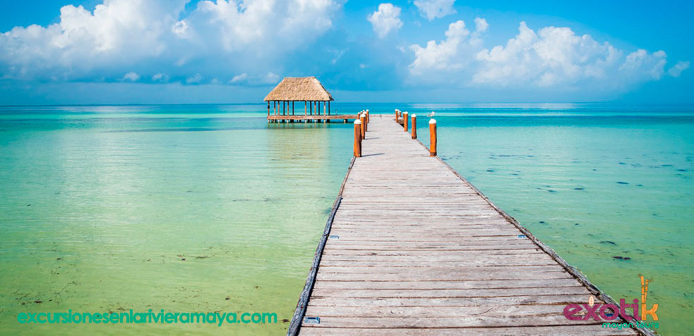 que hacer en holbox