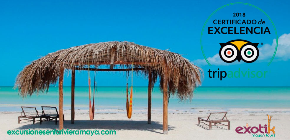Exotik mayan tours 2018