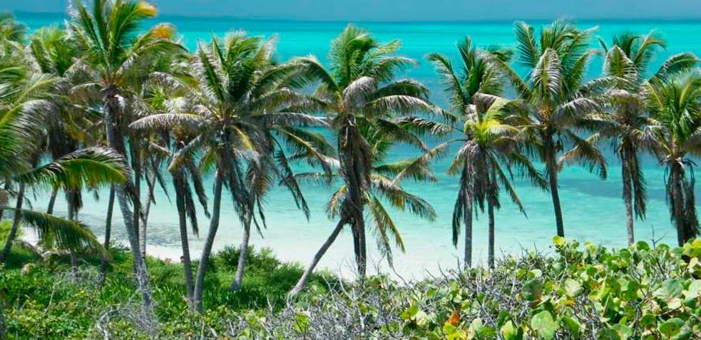 isla contoy