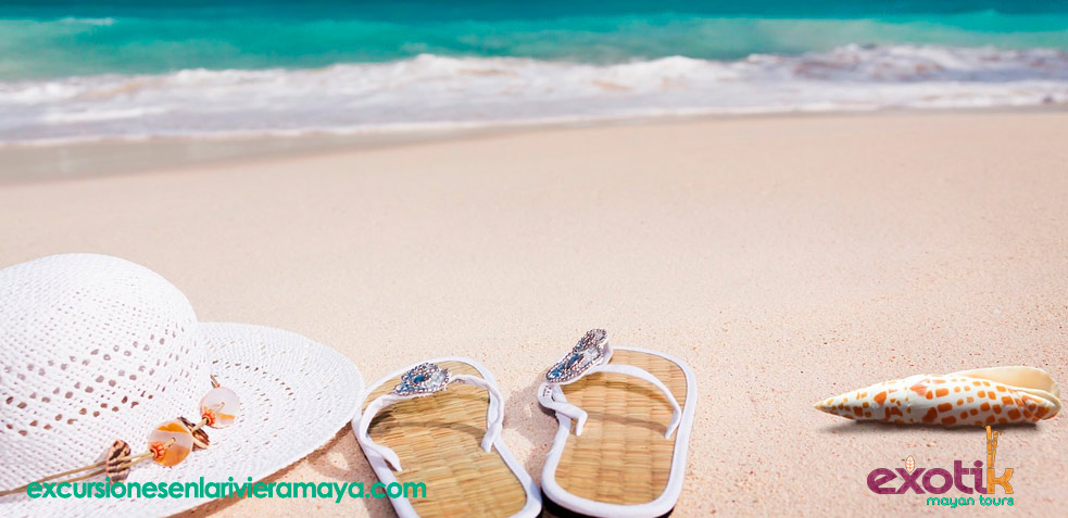 Descubre las mejores playas de méxico