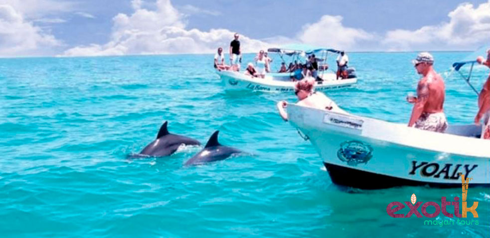 Punta Allen