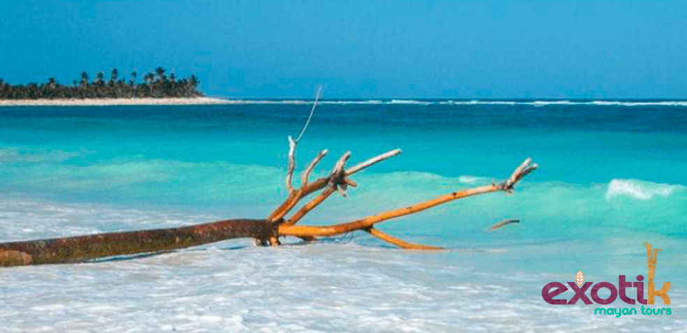 Punta Allen