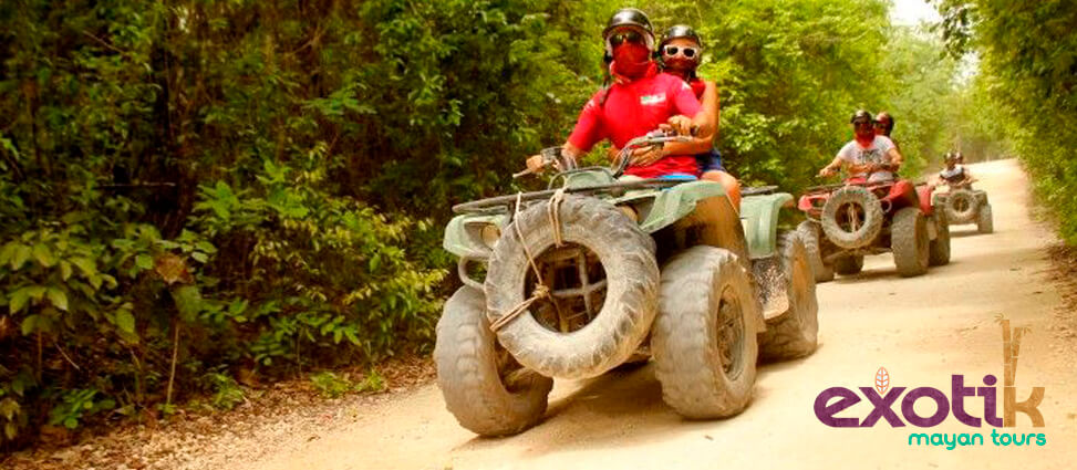 Otra de las actividades en Riviera Maya que puedes realizar, es conocer a fondo la flora y fauna del lugar.