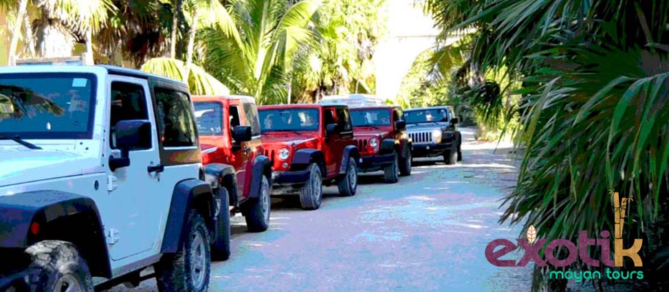 Una de las mejores actividades en Riviera Maya si vas en pareja, solo o con amigos es visitar la Reserva natural de Sian Ka’an.