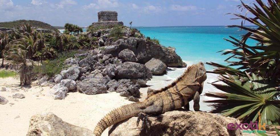 ruinas de tulum