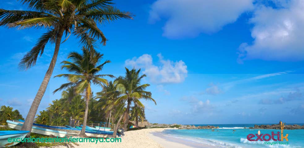 Aeropuerto Riviera Maya Información Consejos Recomendaciones