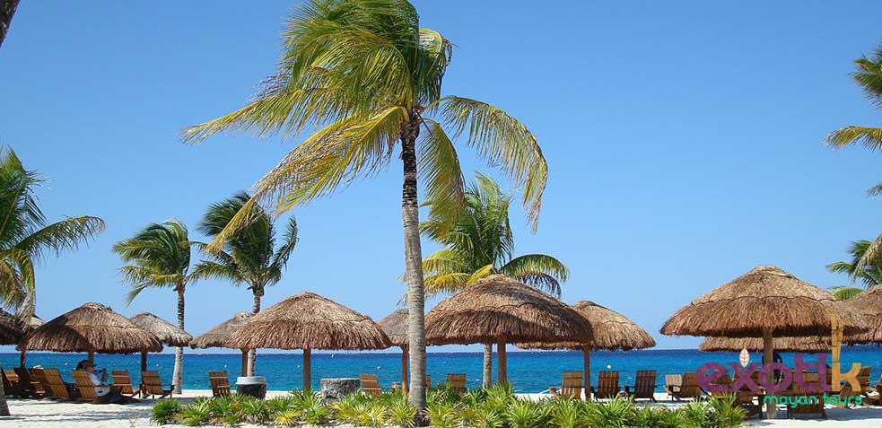 como-ir-de-playa-del-carmen-a-isla-mujeres
