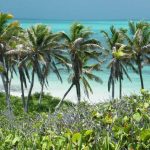 isla-contoy-playa-150x150