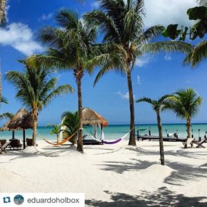 playa con palmeras en isla holbox