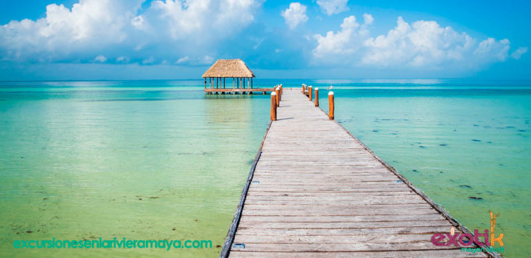 que hacer en holbox