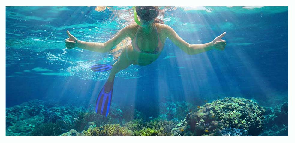 practicar snorkel en el arrecife gracia a la excursion de exotic mayan tours